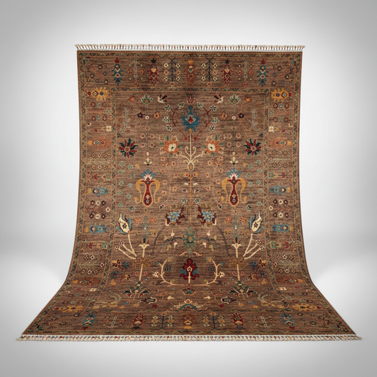 Brown Sultani - beyaz arka plan